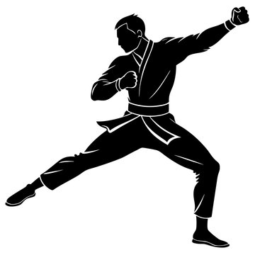 Martial artist striking dynamic pose martial arts fighter
