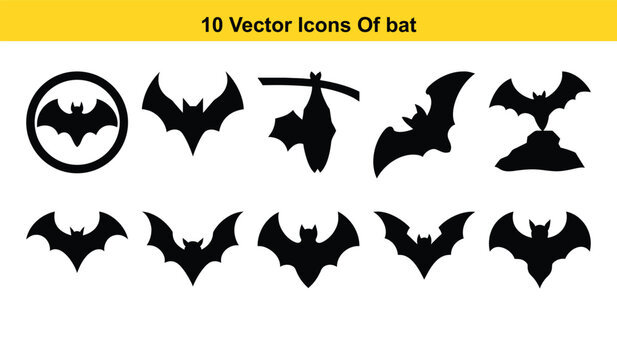 Versatile vector bat illustration with multiple color options and classic typography