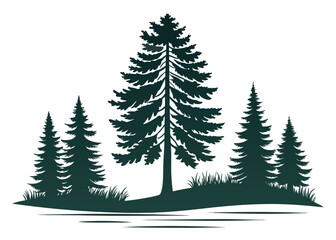 Fototapeta premium Silhouette of pine trees and grass on a white background evergreen forest