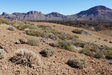 Halbwüste und Berge im Las Cañadas auf Teneriffa Kanarische Inseln