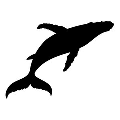 Whale silhouette swimming with raised flipper © Tanjum