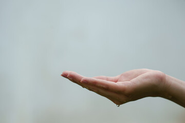 A gentle hand drips water onto a young green plant, symbolizing care, growth, nurturing, and the importance of sustainability and environmental responsibility for future generations.