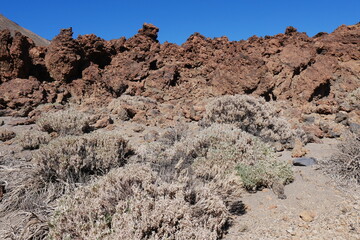 Halbwüste in Vulkanlandschaft Hochfläche Las Cañadas auf Teneriffa