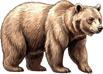 Obraz premium watercolour illustration of bear in isolated on white background