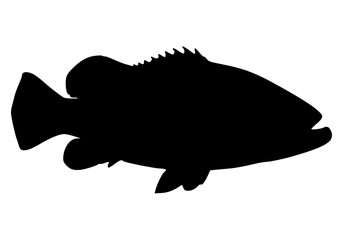 Vector Silhouette Of A Goliath Grouper Fish.