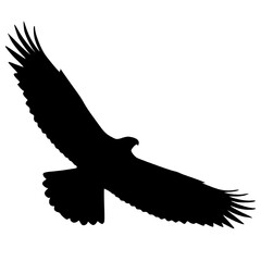 Vector Silhouette Of An Eagle.