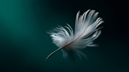 Single white feather floating gently against a dark teal and black background