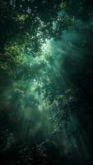 Naklejka premium Sunlight streaming through the canopy of a dense forest creating a mystical atmosphere and light rays