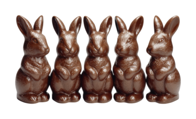 Chocolate bunny display for easter celebration festive setup view isolated on transparent background, png