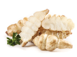 Freshly harvested ground silkworms alongside poinsettia meal and ganoderma for culinary exploration