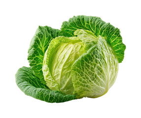 Fototapeta premium Fresh cabbage harvest organic farm food natural isolated on transparent background, png