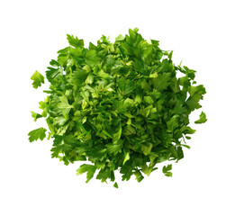 Obraz premium Chopping fresh cilantro for flavorful dishes kitchen food preparation isolated on transparent background, png