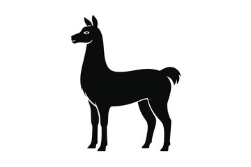 Fototapeta premium Black Silhouette Illustration of a Llama Standing Profile on a White Background Art