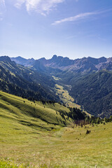 Col Valvacin - Buffaure - Sas d'Adam - Italy