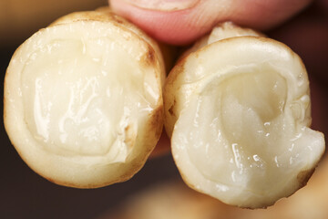 Freshly harvested Gougu pagoda cabbage and Ganoderma meal displayed with vibrant textures in natural lighting