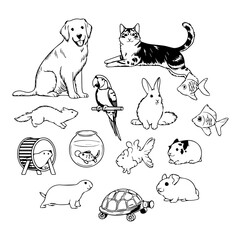 Collection of diverse domestic pets including dog cat parrot rabbit hamster guinea pig fish and turtle illustrated in black and white