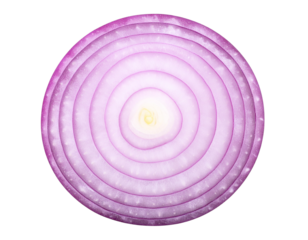 Top View of Whole Red Onion with Subtle Ring Texture, Isolated on White PNG
