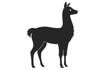 Fototapeta premium Silhouette Illustration of a Standing Llama, Isolated on White Background, Side View Depiction