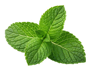 A close up shot of three vibrant green mint leaves arranged on a black background in a studio setting