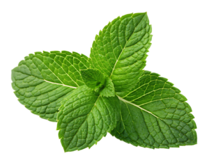 A close up shot of three vibrant green mint leaves arranged on a black background in a studio setting