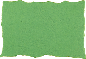 Textured green paper with torn edges suitable for eco-friendly designs or crafts isolated on white transparent background 