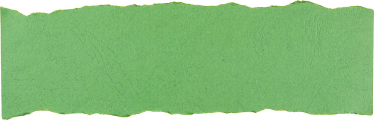 Green textured paper strip isolated on white background for creative design and craft projects
