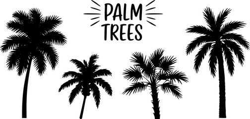 Obraz premium Black silhouettes of palm trees and text white tropical
