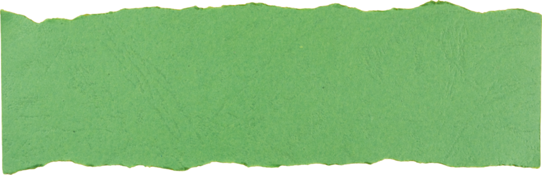 Green textured paper strip isolated on white background for creative design and craft projects