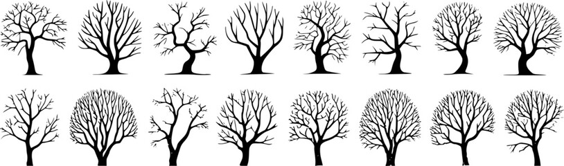 Diverse bare trees with intricate branch patterns branches silhouette