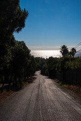 Street view in Saint Tropez leading to the sea, framed with trees and palm trees, with sunlight reflecting on the Mediterranean horizon under clear blue sky.