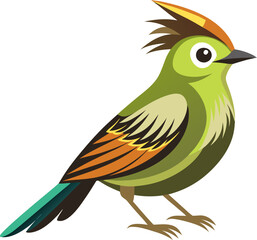 Fototapeta premium Bulbul bird