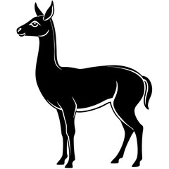 Vicuna vector silhouette black design white background