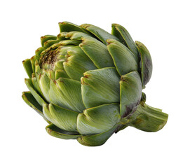 Artichoke harvesting celebration local farmers market food isolated on transparent background, png