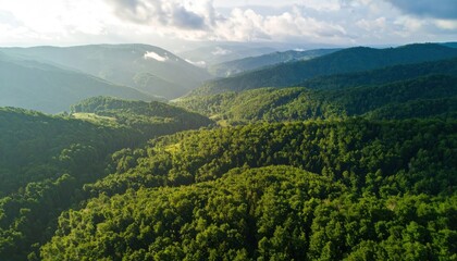 Naklejka premium Lush mountain valley at dawn