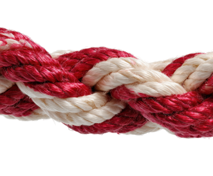 Rope braiding techniques workshop instructional guide craftsmanship isolated on transparent background, png