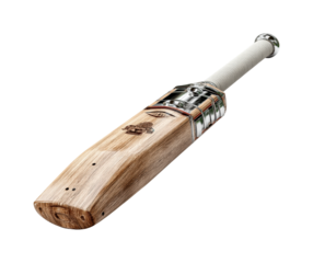 Cricket bat action sports field equipment environment isolated on transparent background, png