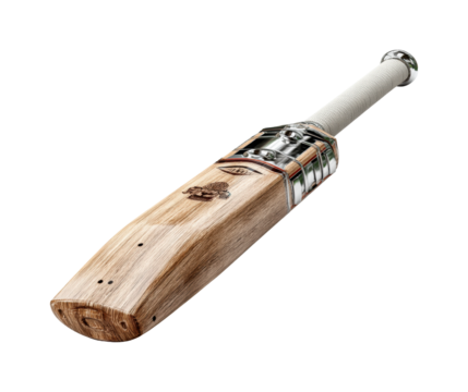 Cricket bat action sports field equipment environment isolated on transparent background, png