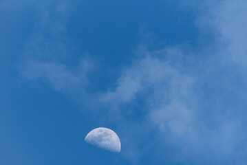 Fototapeta premium Half Moon Visible in Clear Blue Daytime Sky