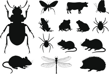Large collection of black animal silhouettes, including insects, bugs, mammals, and amphibians, a vector illustration set on white.
