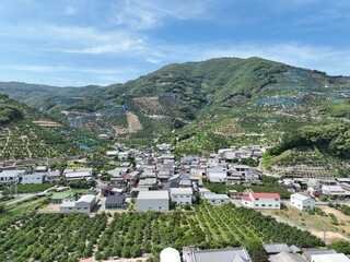和歌山県の綺麗な蜜柑の丘をドローン空撮