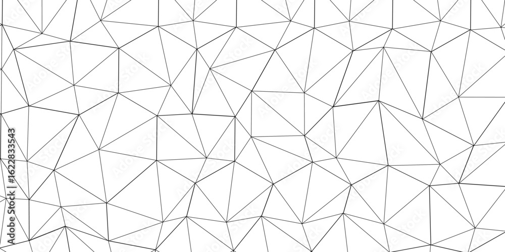 Wall mural abstract line background. abstract black lines with white background creative and geometric shape wi