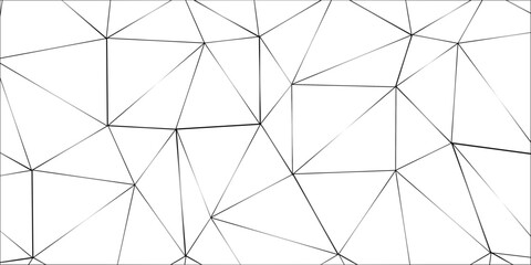 Fototapeta premium Abstract line background. abstract black lines with white background creative and geometric shape with white luxury pattern and paper texture and geometric shape with white luxury style. 