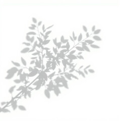 shadow overlay effect. Gray shadow of leaves isolated on white background. 
Plant foliage leaf shadow light effect. Mockup Blurred tree branch shadow. Ideal for summer spring design elements PNG