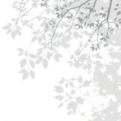shadow overlay effect. Gray shadow of leaves isolated on white background. 
Plant foliage leaf shadow light effect. Mockup Blurred tree branch shadow. Ideal for summer spring design elements PNG