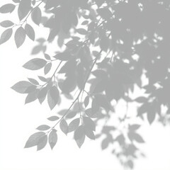 shadow overlay effect. Gray shadow of leaves isolated on white background. 
Plant foliage leaf shadow light effect. Mockup Blurred tree branch shadow. Ideal for summer spring design elements PNG