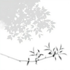 shadow overlay effect. Gray shadow of leaves isolated on white background. 
Plant foliage leaf shadow light effect. Mockup Blurred tree branch shadow. Ideal for summer spring design elements PNG