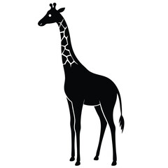Tall giraffe silhouette with patterned neck black white
