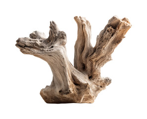 Natural driftwood sculpture home organic minimalist isolated on transparent background, png