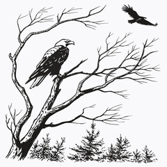 Eagle perched on a bare tree branch with another eagle flying above