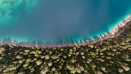 Turquoise coast and dense pine forest captured from top down aerial view